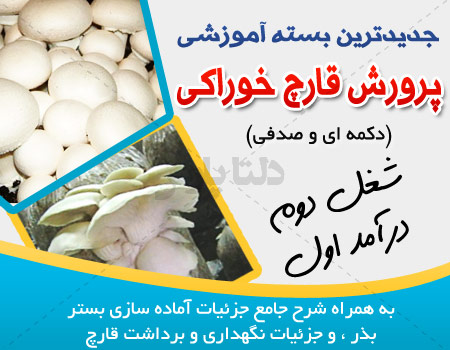 آموزش کامل پرورش قارچ دکمه ای به همراه فیلم آموزشی  و فایل طرح آماده راه اندازی کسب و کار