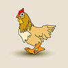 chicken1