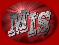 سیستم‌های اطلاعات مدیریت MIS