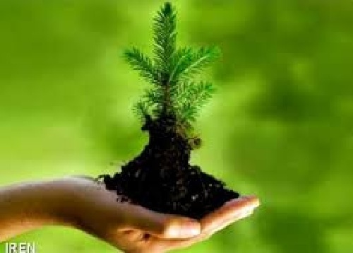 دانلود تحقیق غنی سازی گاز Co2 و تأثیرات آن بر روی فرآیندهای زیستی گیاه