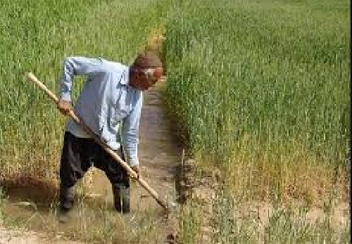 دانلود تحقیق پهنه بندی مناطق مساعد کشت گندم دیم با توجه به فاکتورهای اقلیمی وعوامل زمینی به کمک روش های زمین آماری