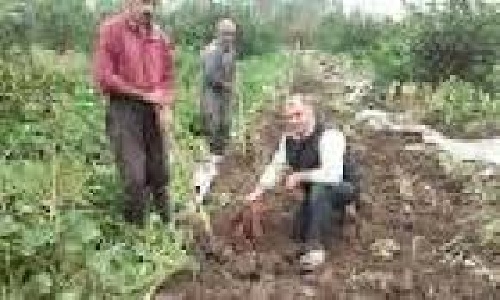 دانلود کارآموزی زراعت و اصلاح نباتات