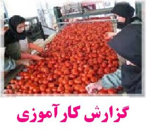 دانلود گزارش کارآموزی بررسی فرایند تولید کارخانه رب گلچین مغان