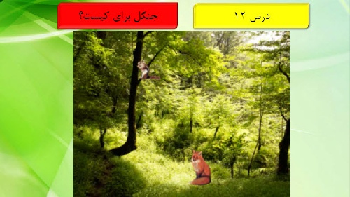 دانلود پاور پوینت علوم ششم دبستان درس ۱۲(جنگل برای کیست ؟)