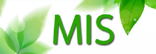 دانلود پایان نامه مدیریت MIS