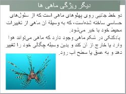 دانلود پاورپوینت کنفرانسی درباره ماهی ها
