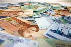 دانلود اهمیت بودجه برای دولت اصلاح شده