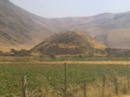 دانلود تحقیق تحقیقات علمی روستای میرزا رجب