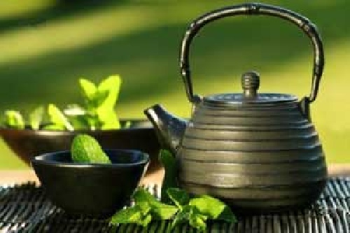 دانلود تحقیق چای و پودر فوری چای سبز