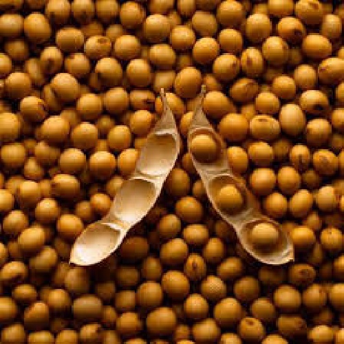 دانلود مقاله تأثیرات فشار خشکسالی بر تولید سویا