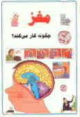 مغز چگونه کار می‌کند